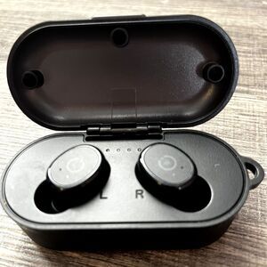 TOZO T10 Black Wireless Bluetooth 5.0 Portable Earbuds & Charger Case
